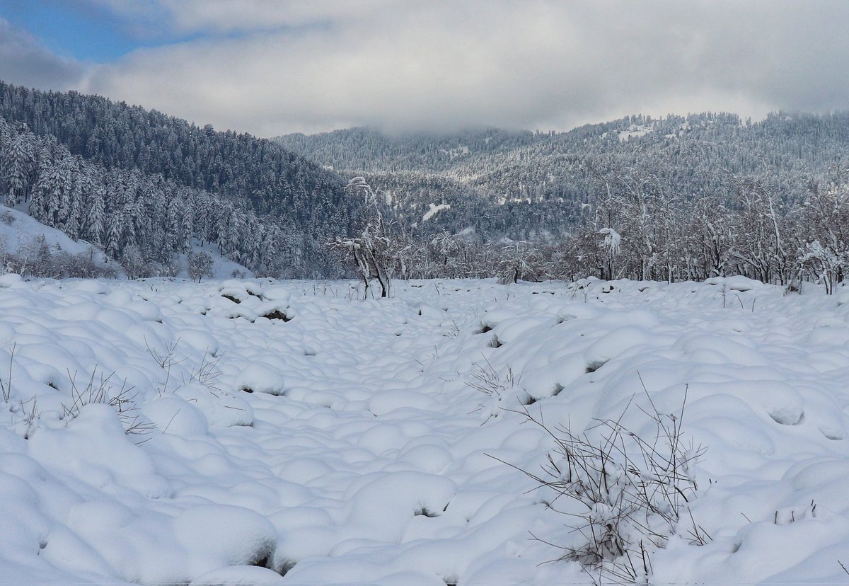 _Zaidali64's tweet photo. Beauty lives in Kashmir. #snow #valley https://t.co/Bt9VNBJp6v