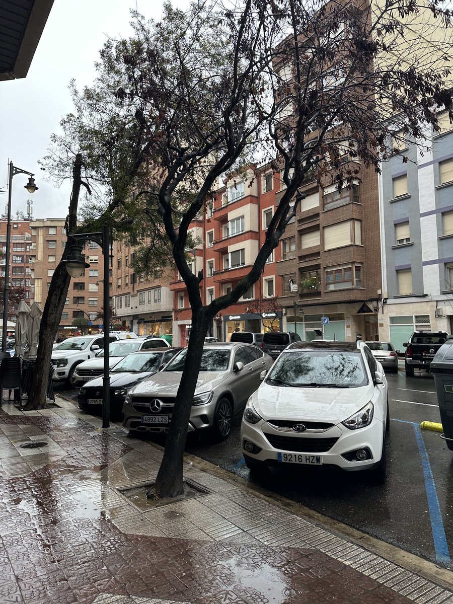 Sin profundizar mucho, esto es San Antón ahora mismo. Una pena de calle. ⁦<a href="/AytoLogrono/">Ayuntamiento Logroño</a>⁩.