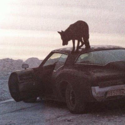 delusionally obsessed.