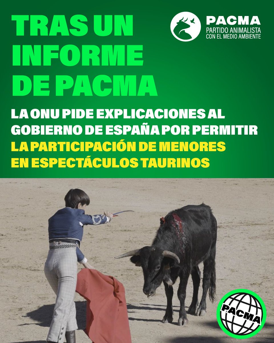 ❌¡La tauromaquia es violencia!

📃Gracias a nuestro informe acerca de la desprotección de la infancia frente a la violencia de la tauromaquia, la ONU pide explicaciones a España por permitir la participación de los menores en espectáculos taurinos.

👉Esperamos que pronto se