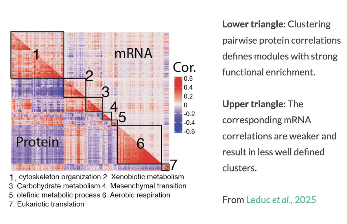 Prof. Nikolai Slavov tweet media