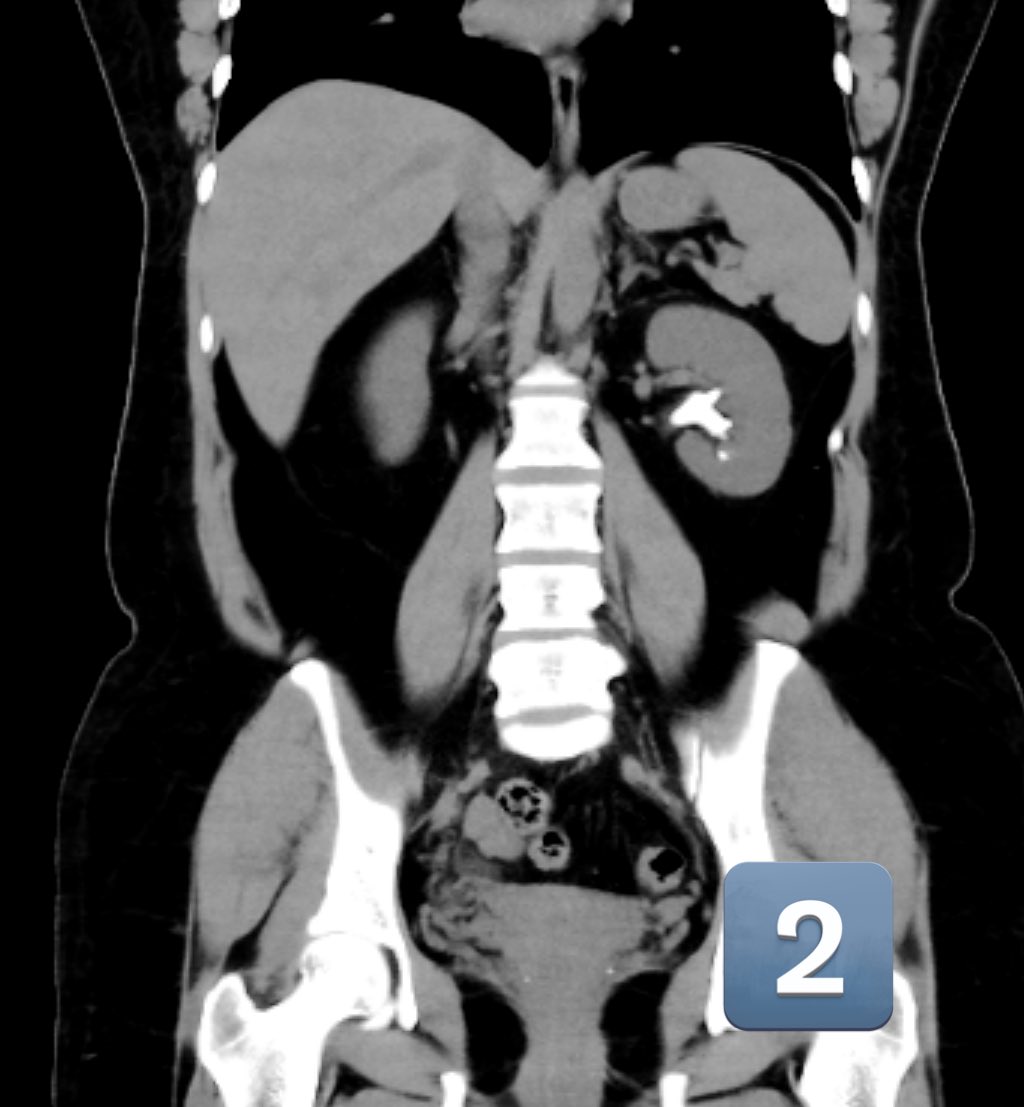 Santiago Pautasso tweet media