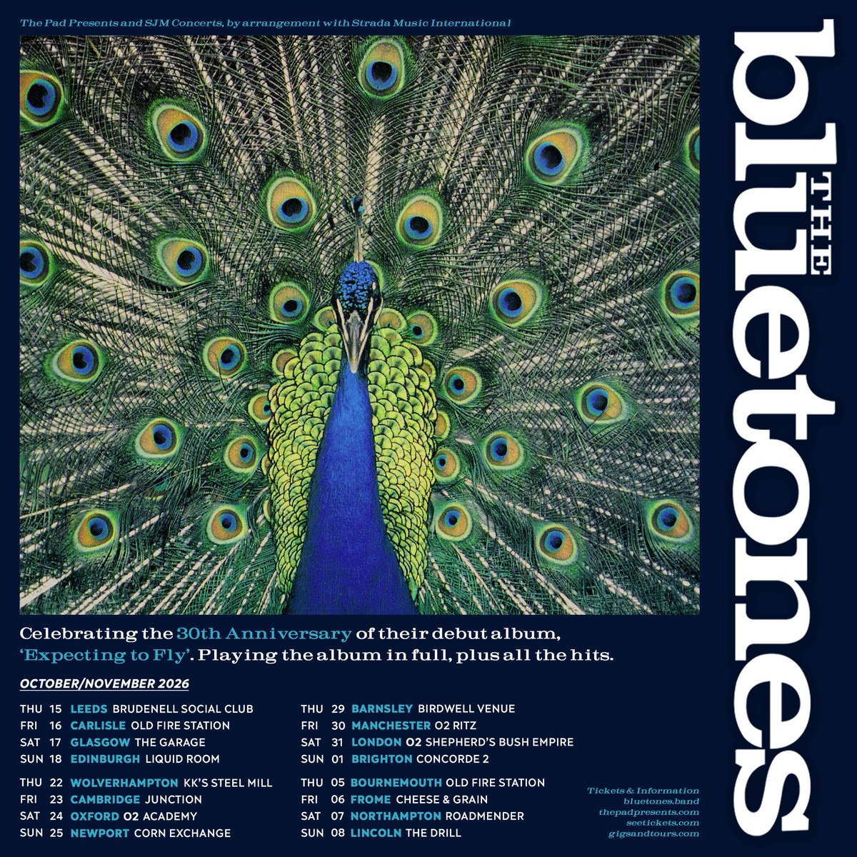 The Bluetones tweet media