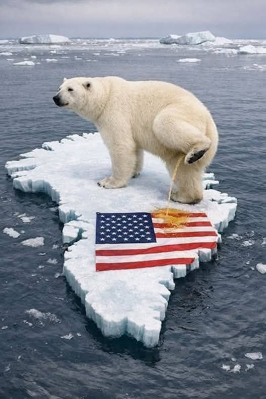 Olena Rohoza tweet media