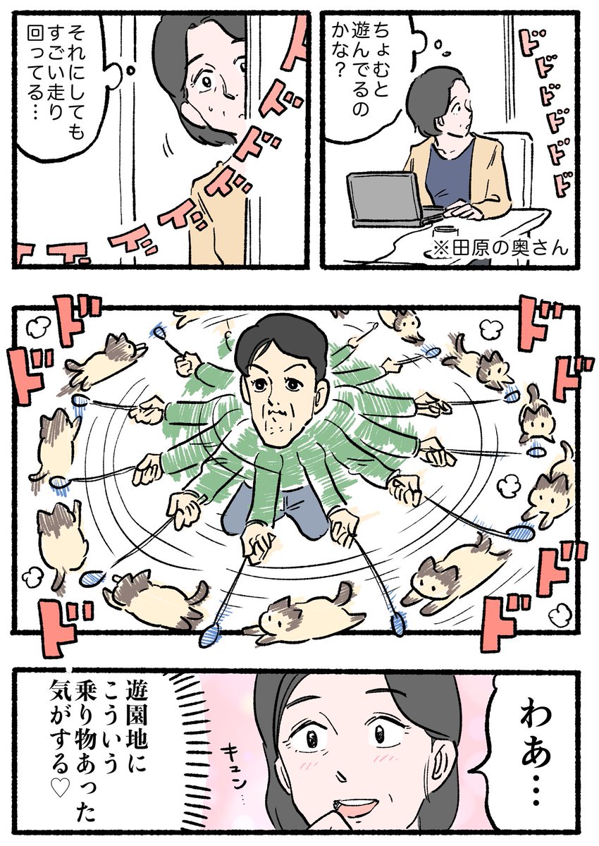 ねこおじ様 ねこに転生したおじさん。その881