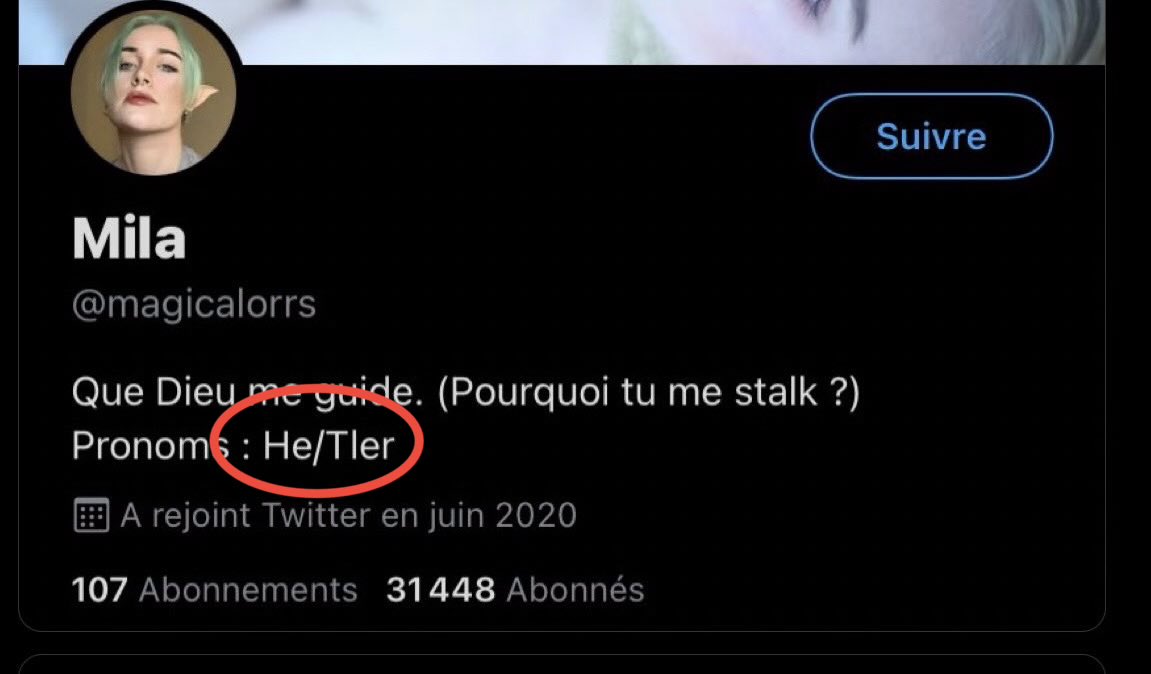 « M’accuser de nazisme, moi…

… 

… qui disait que mes pronoms étaient "He/Tler" ("Hitler")  ✋🥸 »