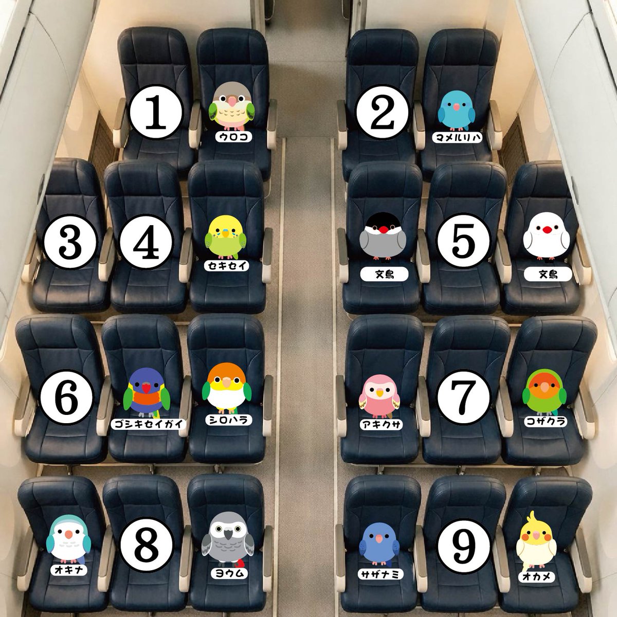 Post by ひぐま on X: 9が良いな🦜