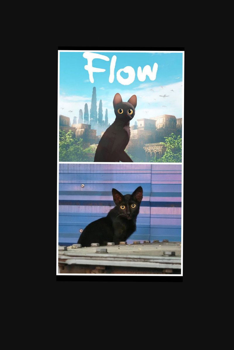 vineth_n's tweet photo. ..
@flowmovie2024

#flowmovie https://t.co/anxIyIkex3