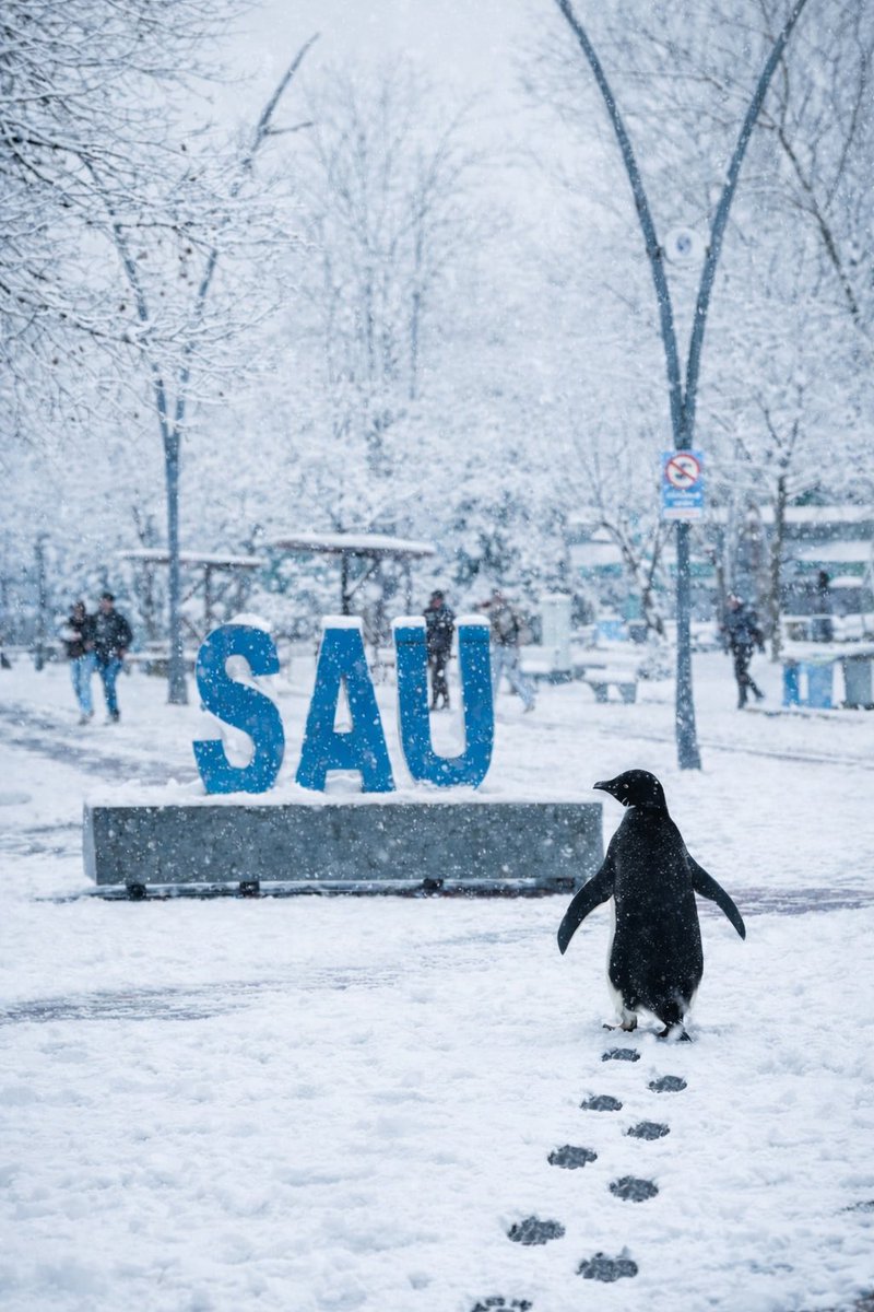 Sakarya Üniversitesi tweet media