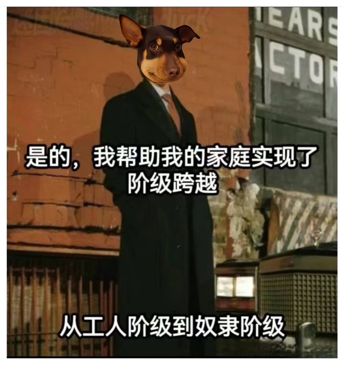 HODL BSC的meme社区币 $蜜蜂狗，就像是一直在逆势中做多 $BNB ，坚守理想中的信仰罢了。可惜，传说中有法海不懂爱，Web3中有何一不懂真实meme社区的浪漫 <a href="/heyibinance/">Yi He</a> <a href="/nina_rong/">Nina Rong</a> 
0x2eb08a8fe215f72e01e089c1cd8c4c4937414444