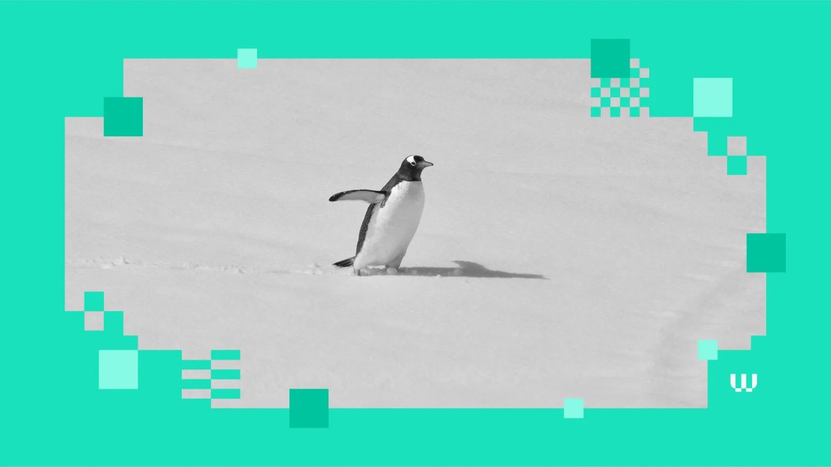 Webopedia - Tech & Crypto Knowledge Base tweet media