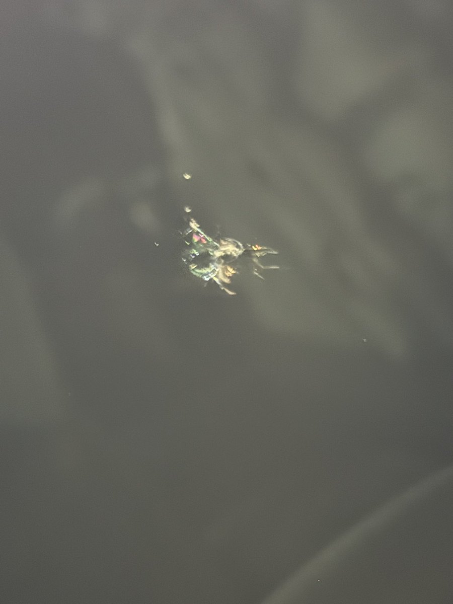 oki765LT's tweet image. 工事が多すぎて
デカい石が飛んで来た😫