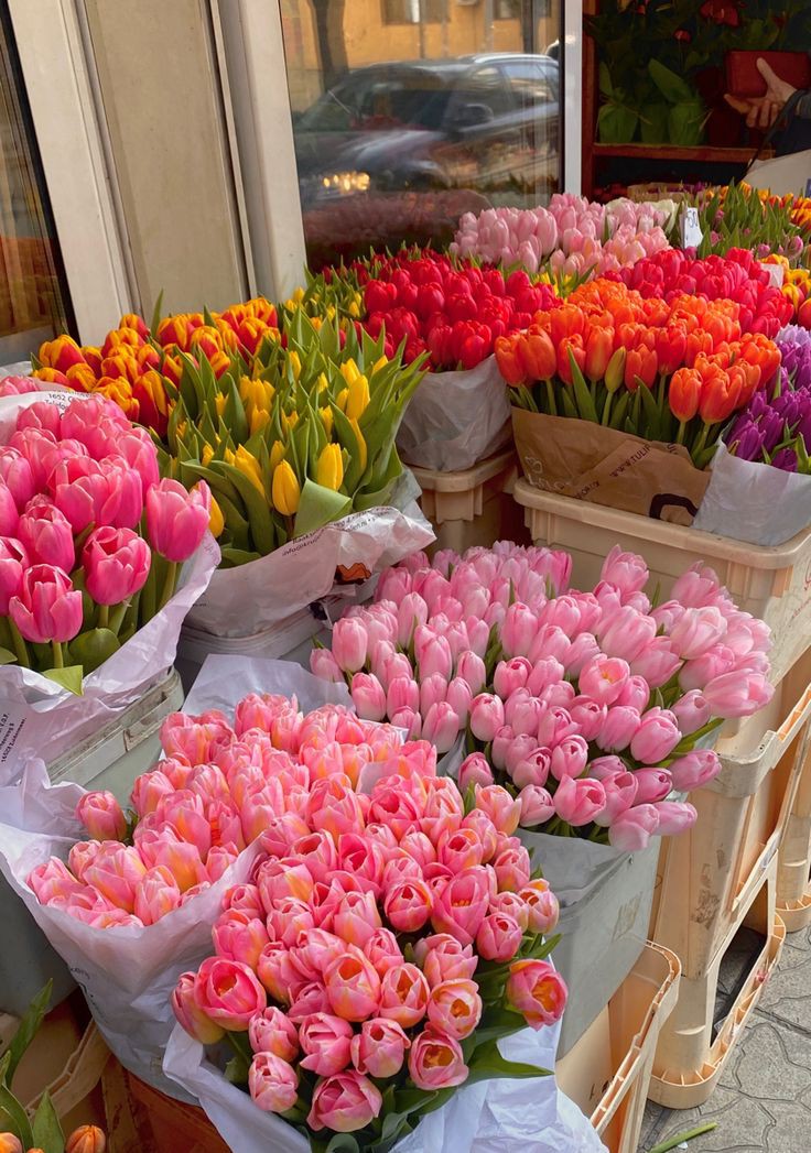 tutututututulip's tweet image. 