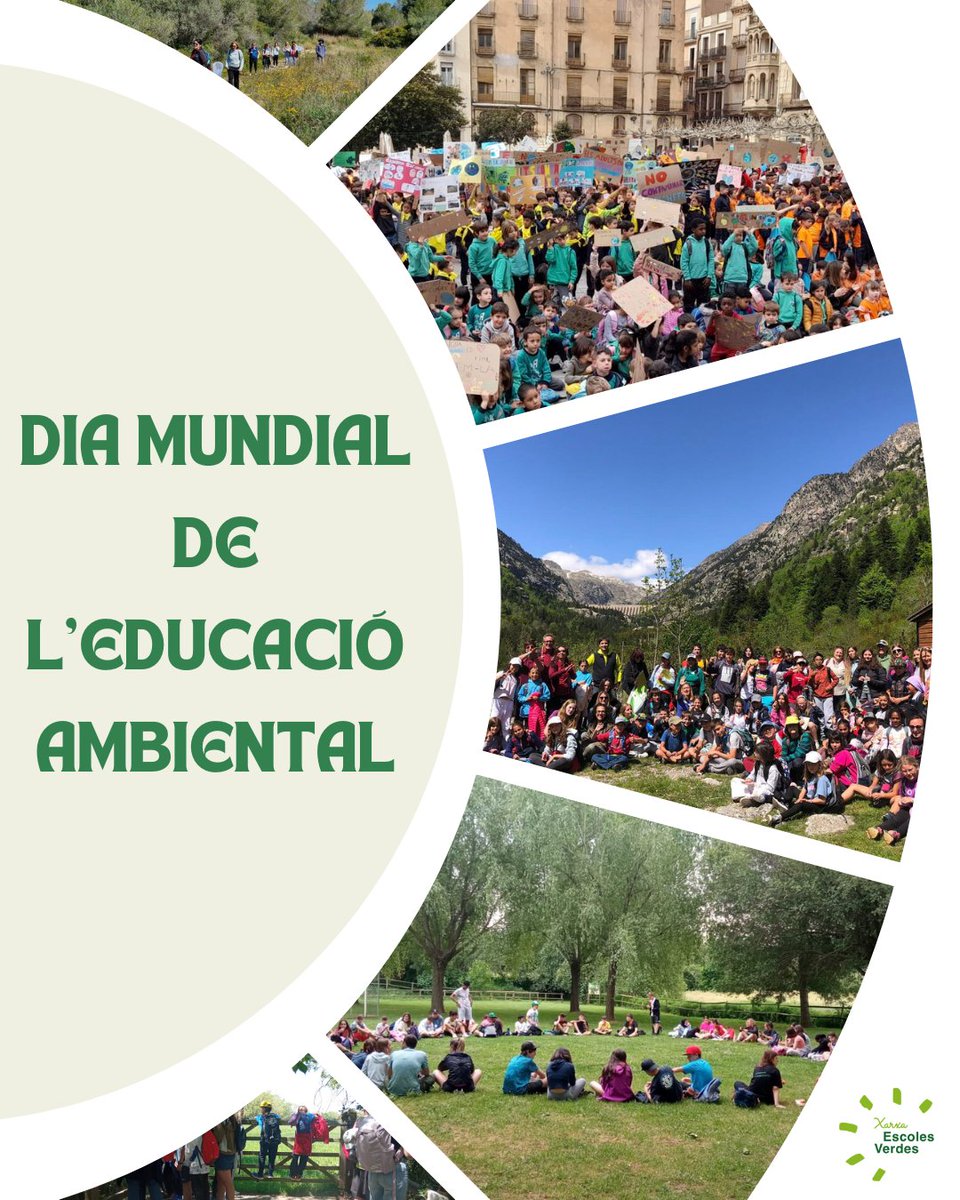 escolesverdes tweet media