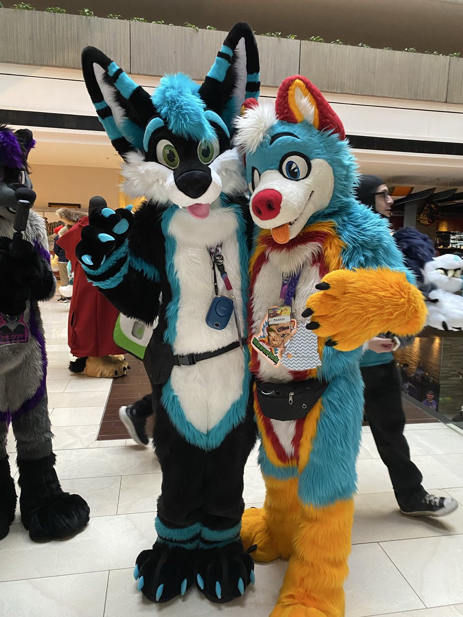 Maverick the Husky tweet media