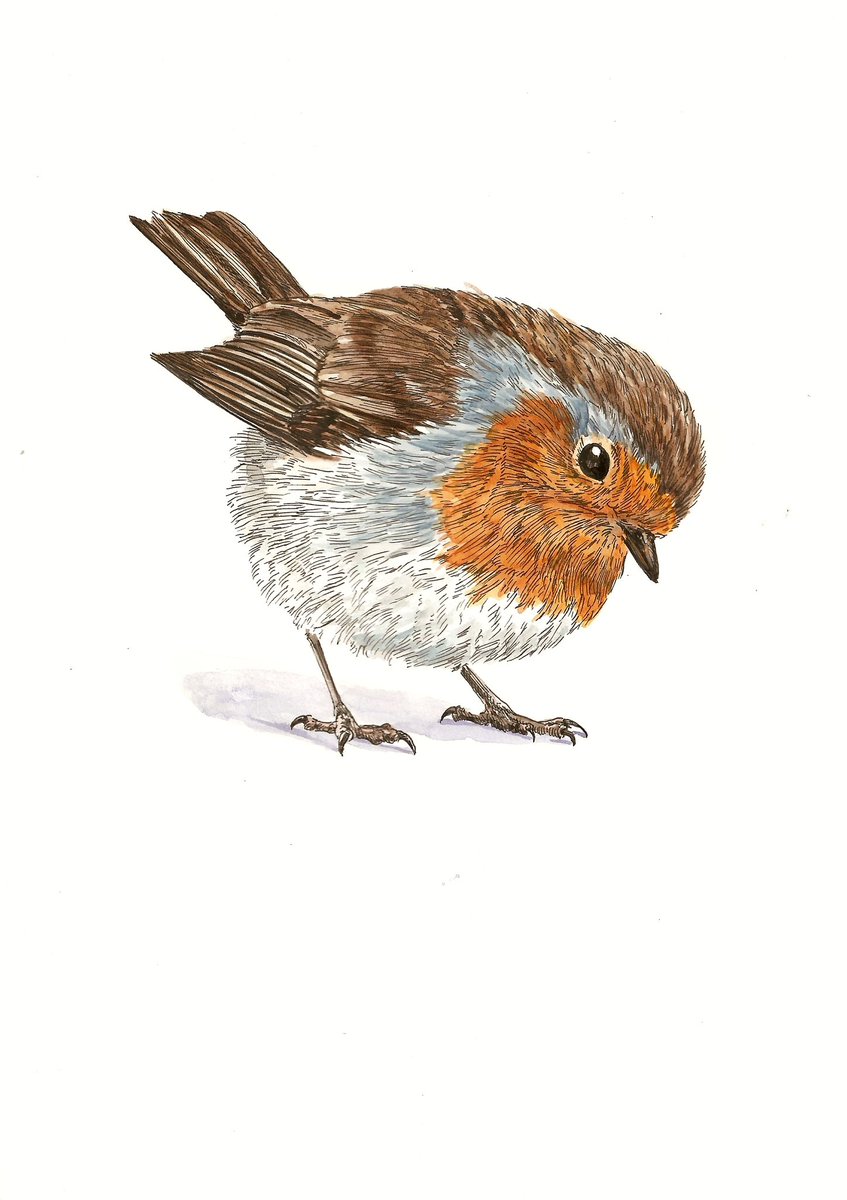 Ik voltooide een Roodborstje

‘Op zoek naar een broodkorstje’
29,7 x 21 cm
Inkt en aquarel op papier 

Delen is lief.