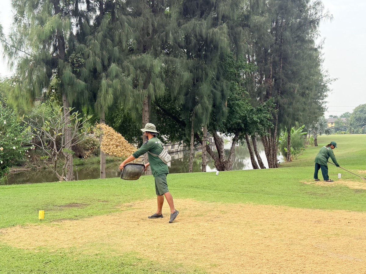 RSUVista's tweet photo. 🌅⛳️ RSU Vista Golf Course, Thailand starts the week with 
morning maintenance: cleaning, mowing, bunker care, and Tee Off improvement.
👒  weekly caddie meeting strengthens service excellence and golfer care 💚
📞 02-997-8501-6 
🆔 Line: @rsuvistagolf
See you on the course! https://t.co/IbOCuqXcP0