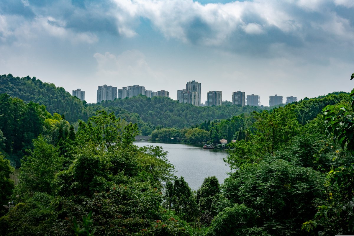 MedWet بالعربية tweet media