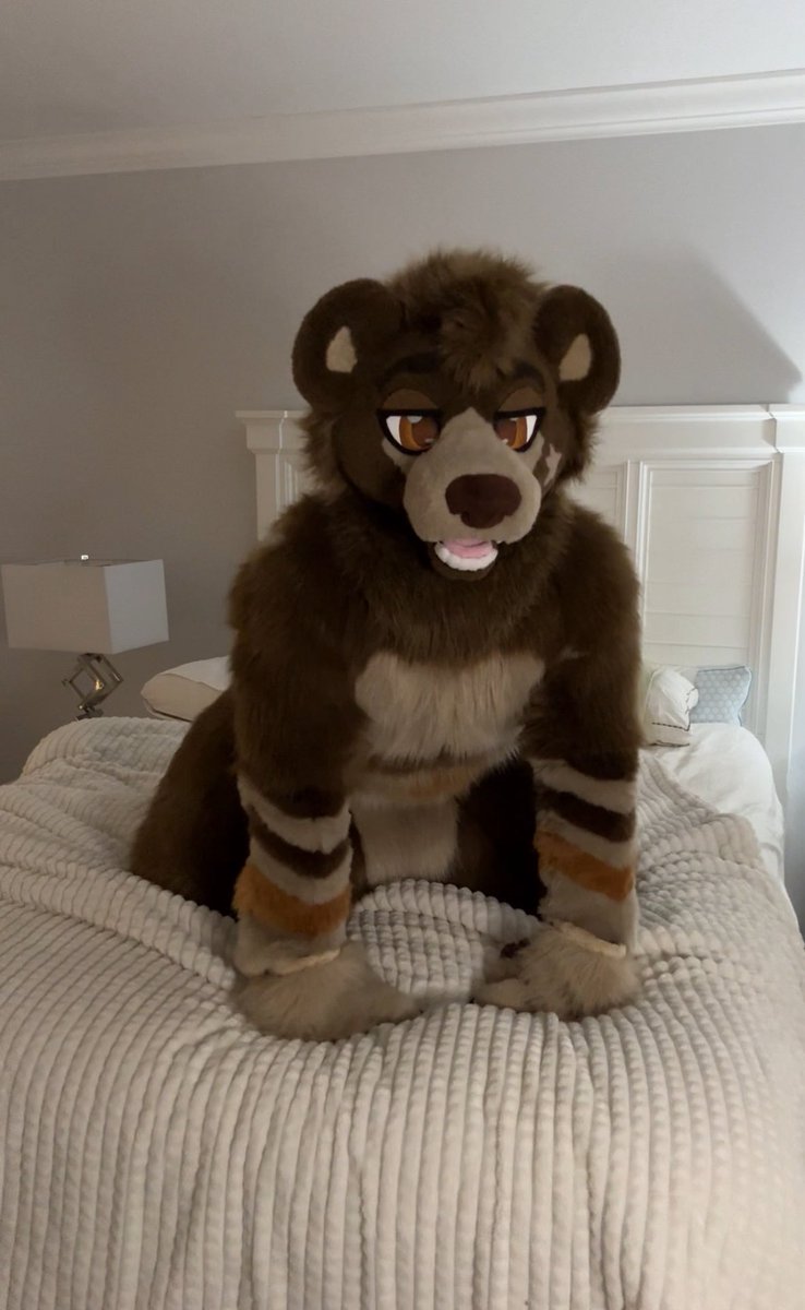 yapperbear tweet media