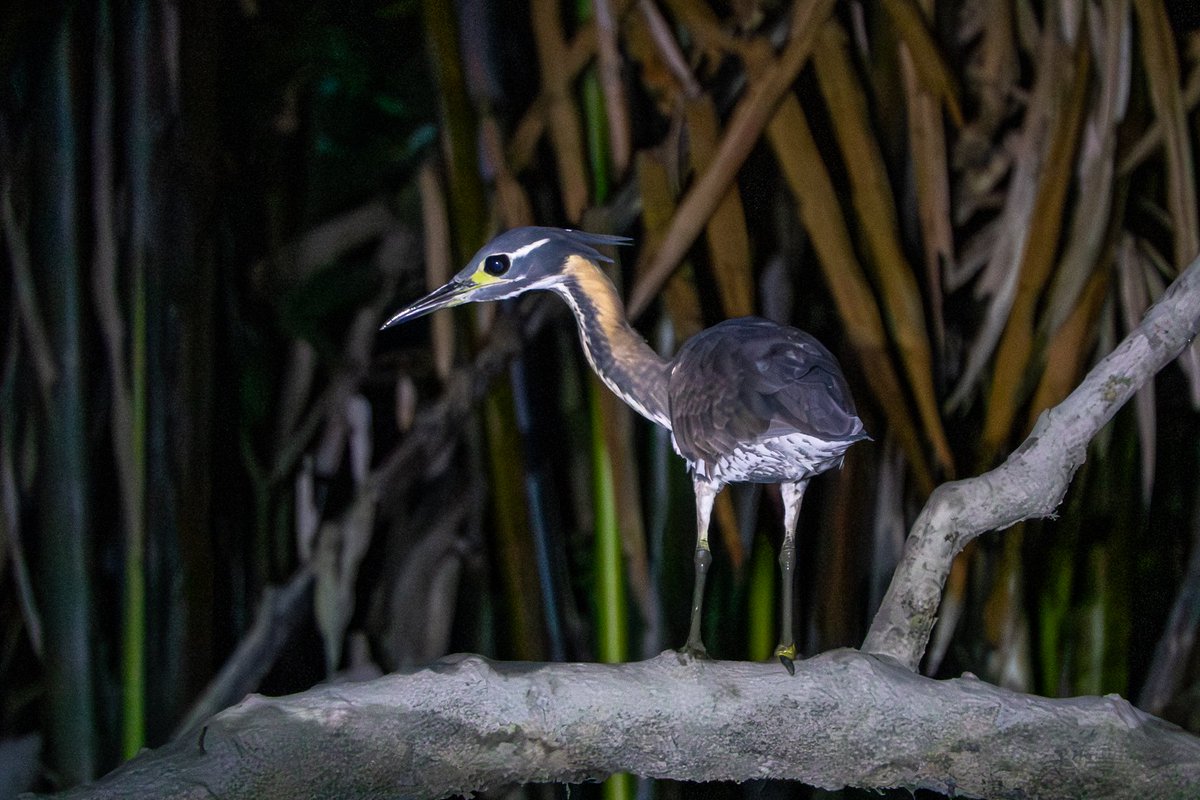 Matt Eade tweet media