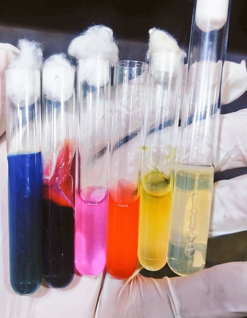 ALI ALKHALIFAH |:| عـلـي الخـليـفـة tweet media