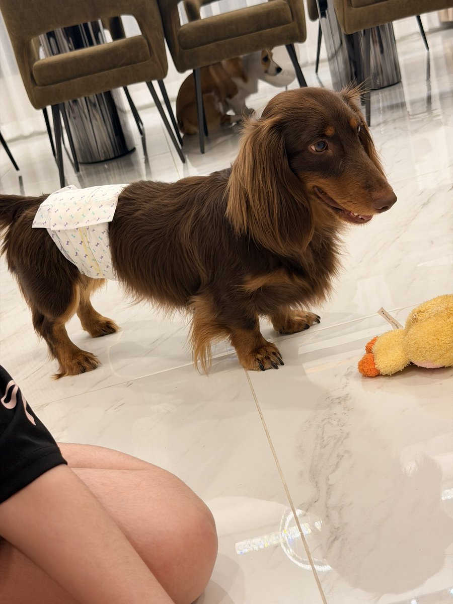 Bossckm_'s tweet image. สปอยมากก ให้ไอแพดเด็กเล็กเล่น 😂🤣