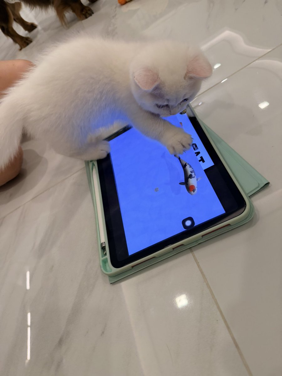 Bossckm_'s tweet image. สปอยมากก ให้ไอแพดเด็กเล็กเล่น 😂🤣