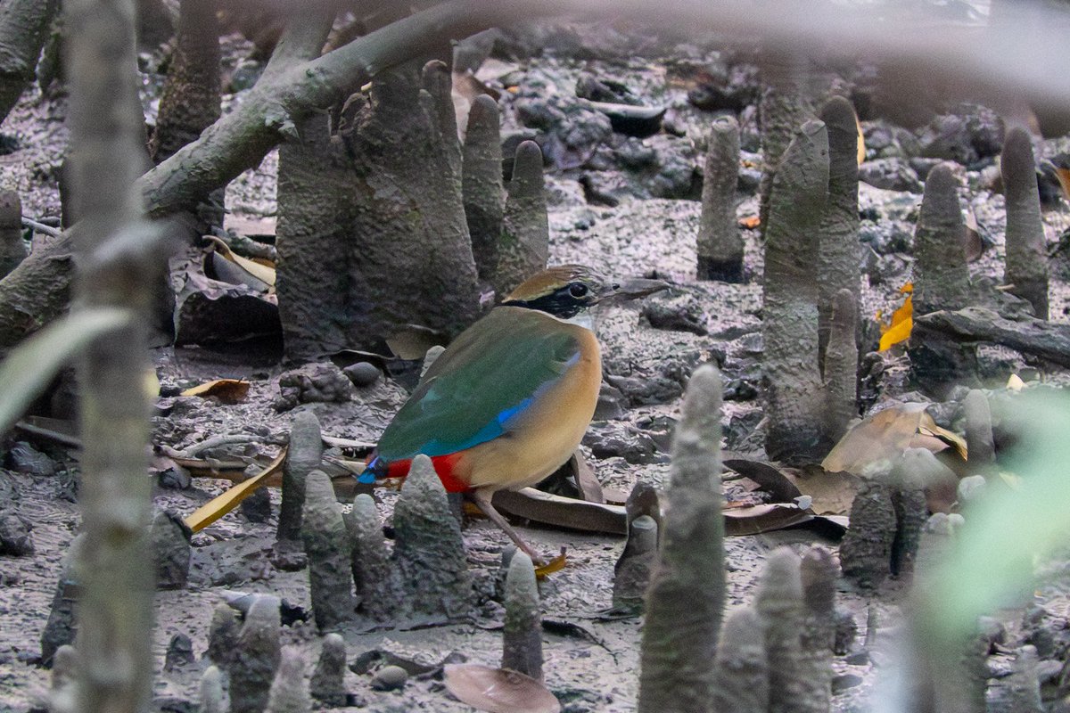 Matt Eade tweet media