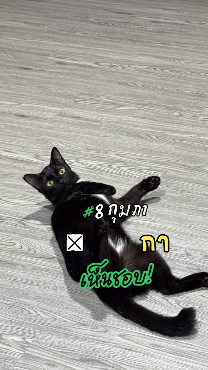 realseriousya's tweet image. 