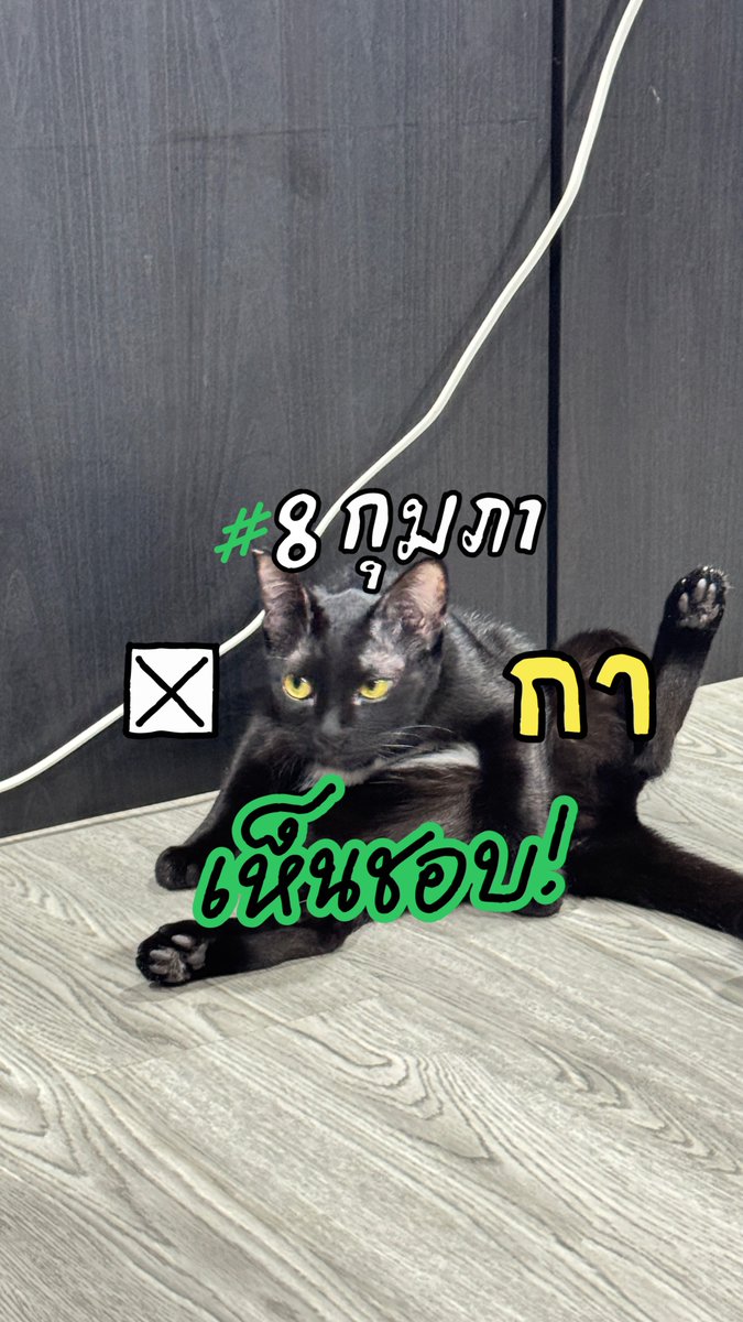 realseriousya's tweet image. 