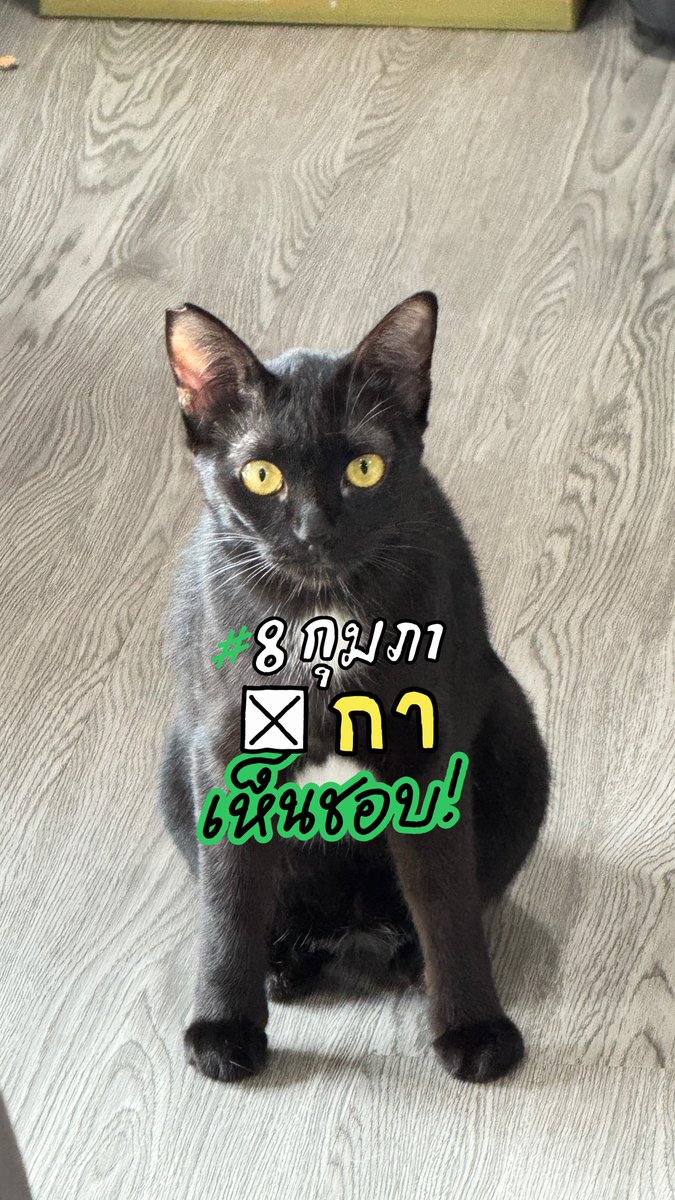 realseriousya's tweet image. 