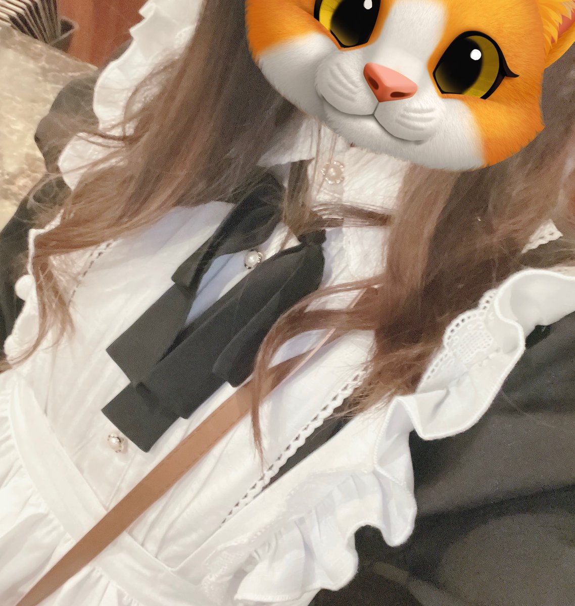 さくぱん! (@sakupan_mb) / Posts / X