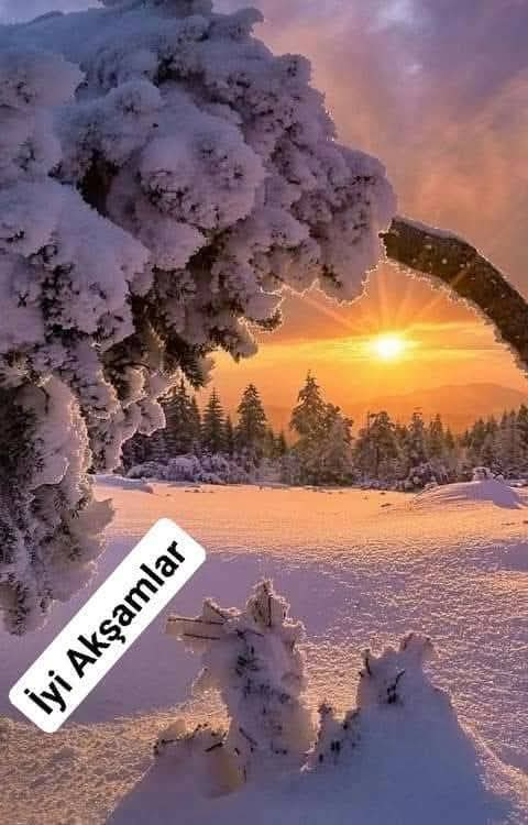 Minm35's tweet photo. 🍀İnsana iyi gelen şeyler
🌻büyük değil aslında;
🍀bir anlayış, bir tebessüm,
🌻bir de içten gelen huzur.
🍀Bir samimi iyi akşamlar mesajı. 
🌻Hepimizin akşamı harika olsun. 
#iyiakşamlar #iyiaksamlar https://t.co/Mqf9DcwNP6