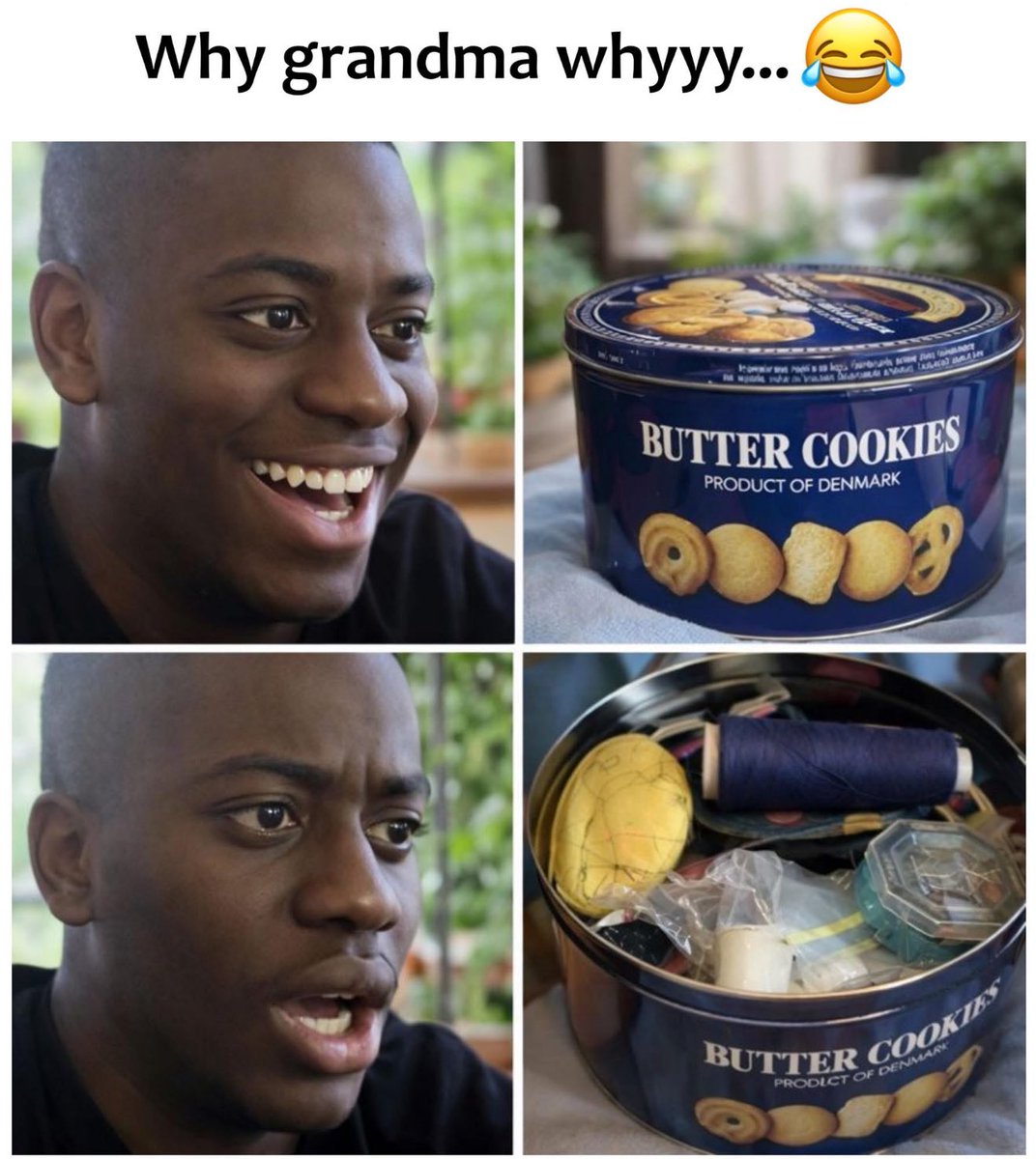 NoContextHumans's tweet photo. https://t.co/Ngvct1Fn93