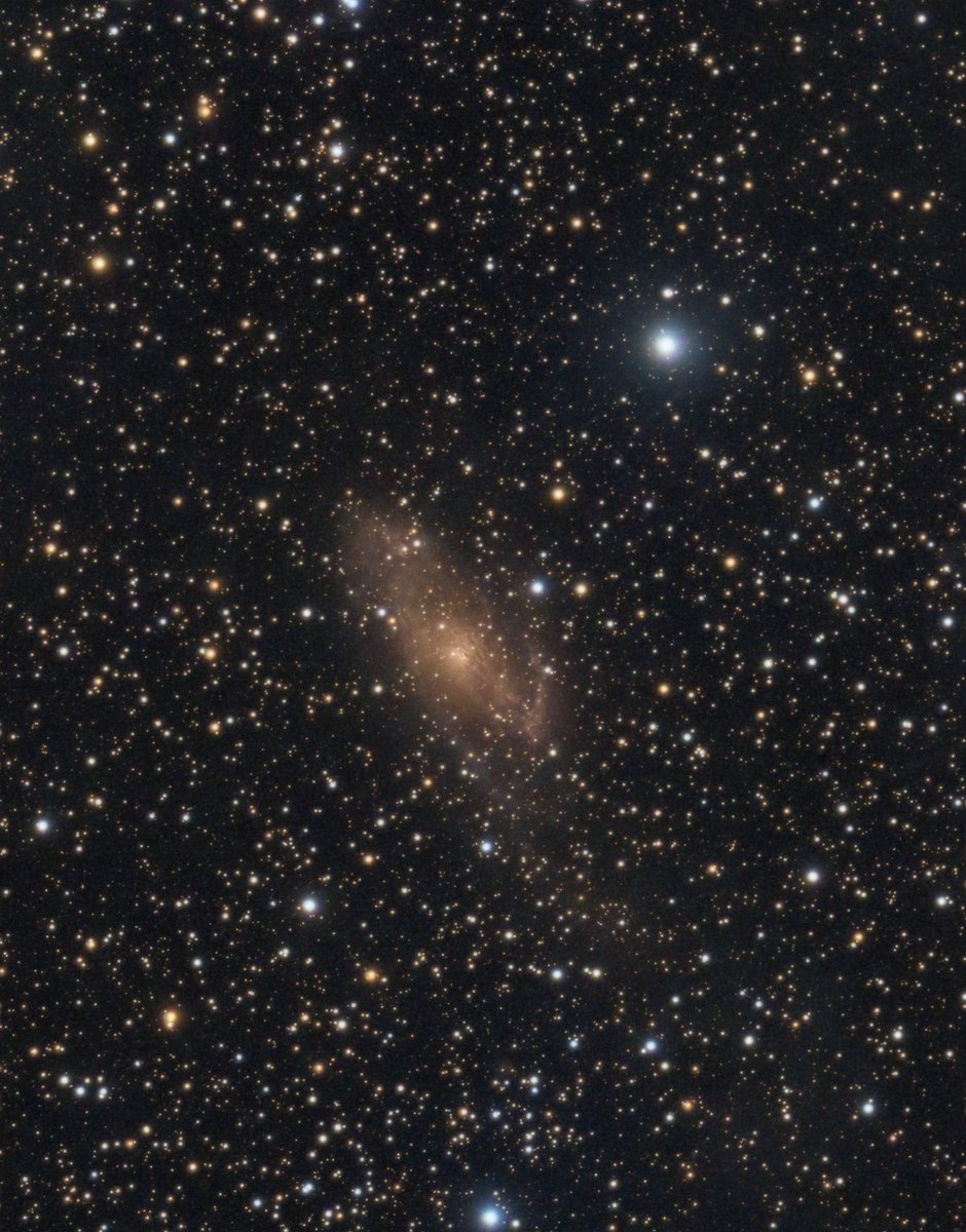 Maffei 2 is a spiral galaxy at about 10 million light-years.
It is is almost invisible to optical telescopes. Foreground dust clouds in the Milky Way block about 99.5% of its visible light, but this NIR-RGB image reveal the galaxy.

Donatiello, Faleseidi, Lovrencie (U.A.I.)
