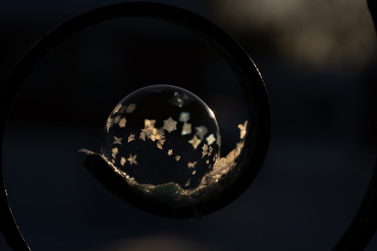 #veryasian Ann tweet media