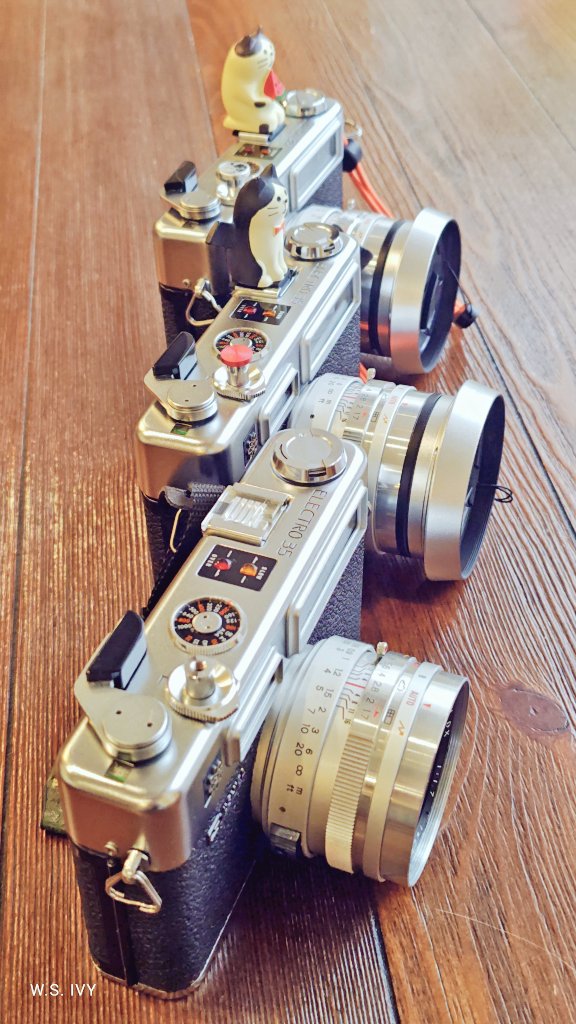 ivy_maze's tweet photo. 優秀な子たち 📸✨️
なぜ同じカメラ３台も手に入れたのか、今となっては分からんしこんなに要らんけどw  それでも手放す気にはなれないんだよな〜
#国産カメラ #YASHICA
#Electro35 #レンジファインダー #フィルムカメラ #クラカメ #クラシックカメラ #カメラ好きな人と繋がりたい https://t.co/kPShGDwGfd