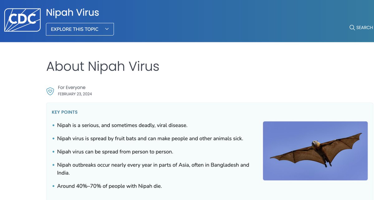 Rangkuman dari Penjelasan CDC tentang Virus Nipah
(Long Post Warning!)

𝗔𝗽𝗮 𝗶𝘁𝘂 𝗩𝗶𝗿𝘂𝘀 𝗡𝗶𝗽𝗮𝗵?

Virus Nipah menyebabkan penyakit yang dapat menular antara hewan dan manusia. Virus Nipah dibawa oleh kelelawar pemakan buah (genus Pteropus), yang juga dikenal sebagai