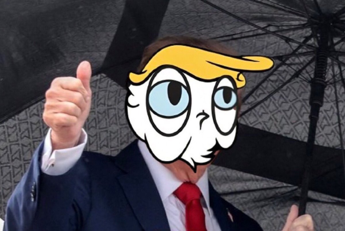 DONALD tweet media
