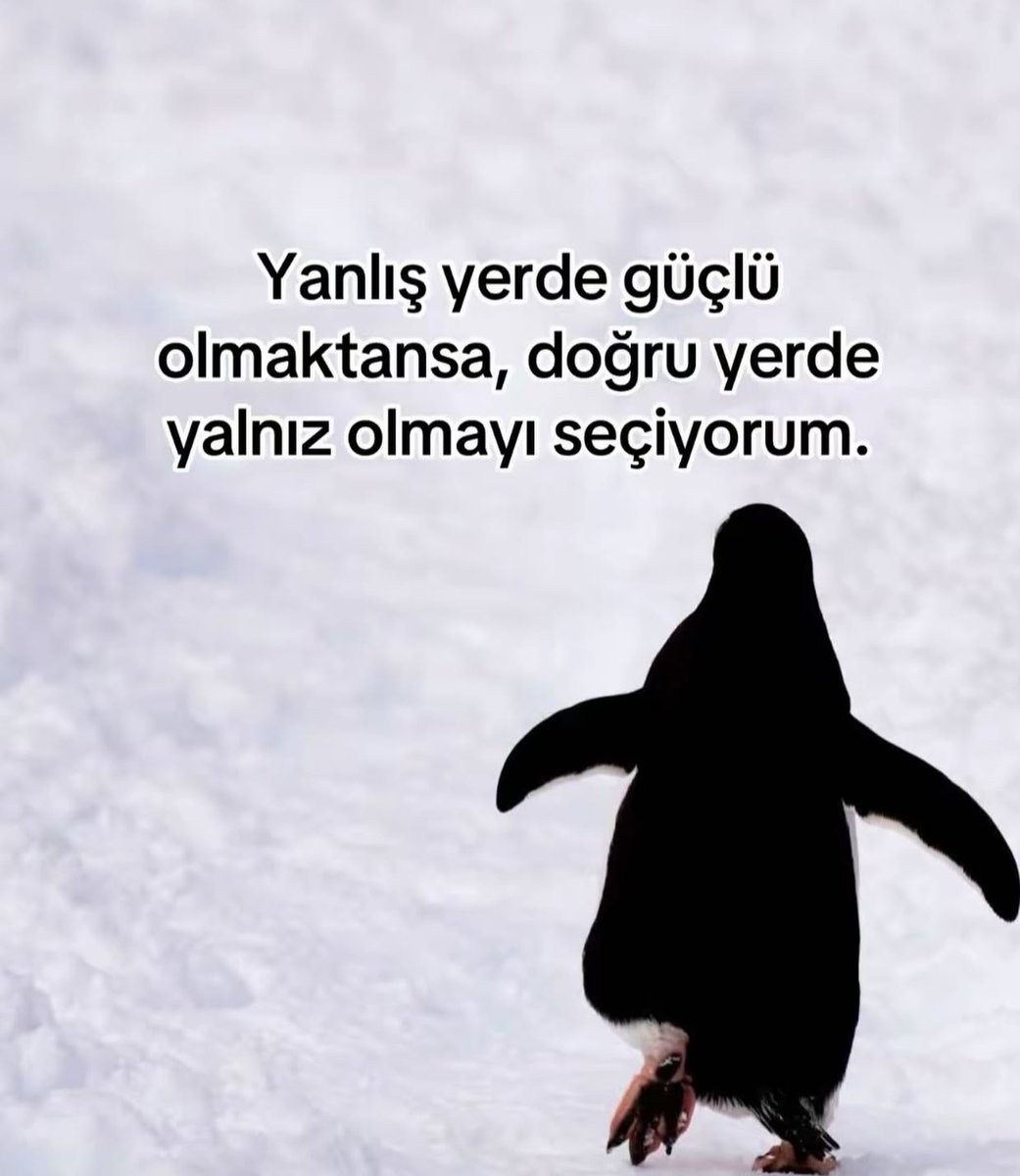 haklı (@asirihaklii) on Twitter photo 