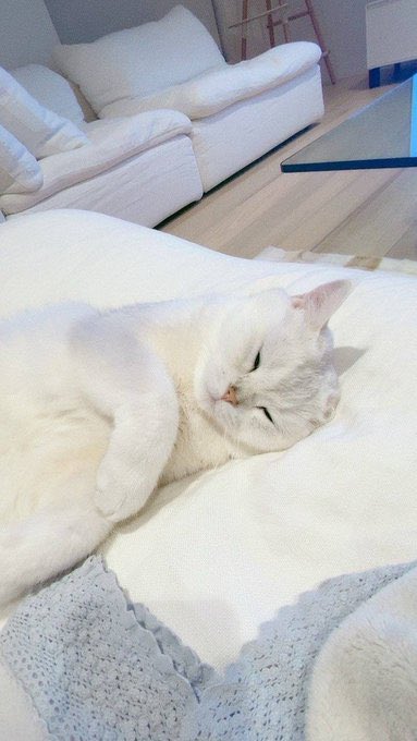 koongdaeng update ♥️