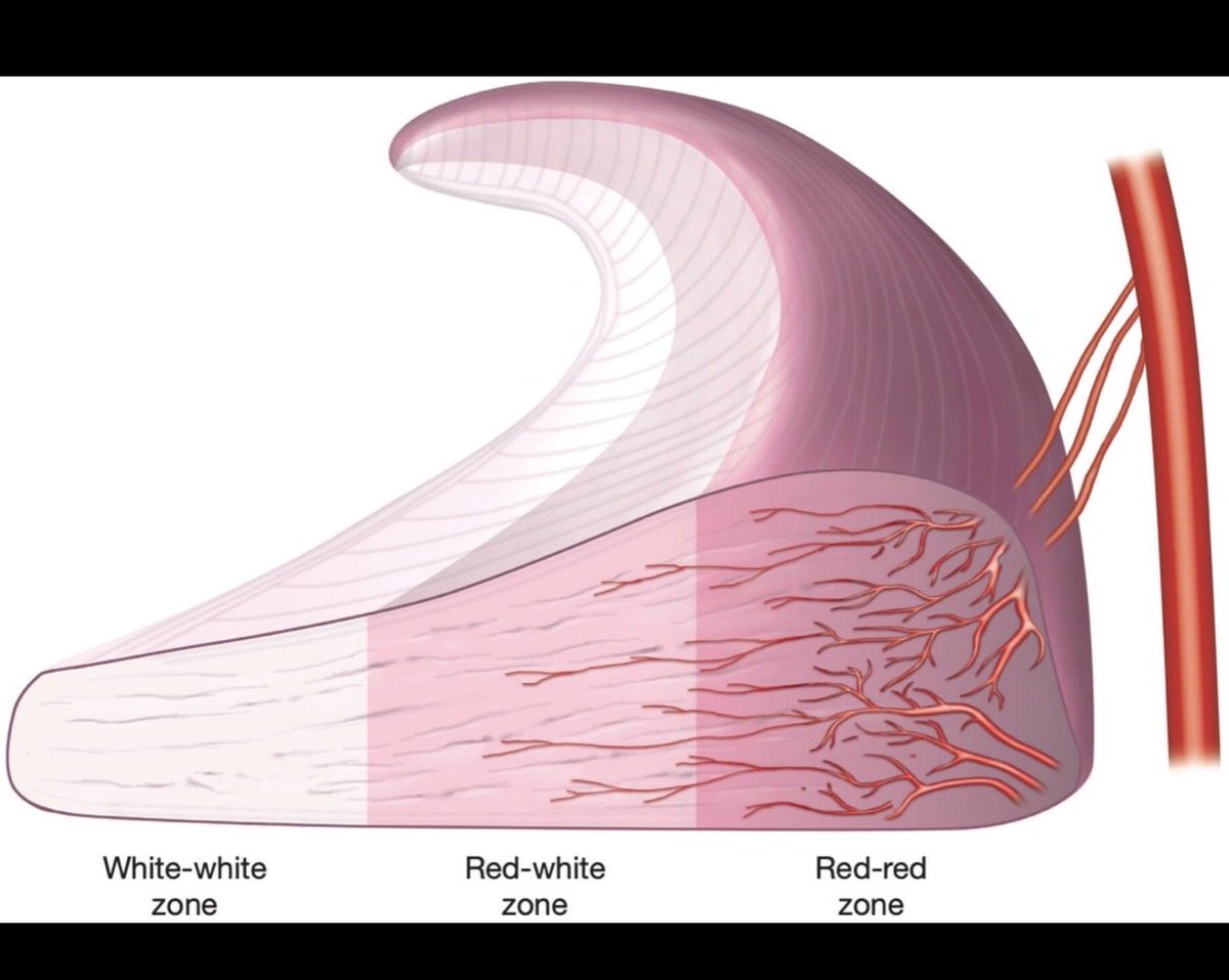Faraz Sethi tweet media