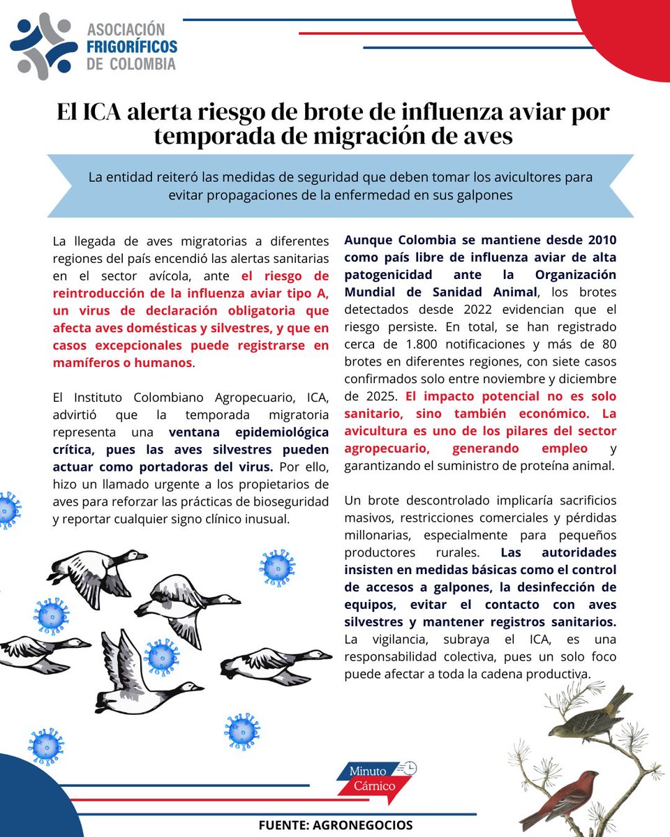 Asofrigorificos's tweet image. El ICA a generado un alerta en la temporada de migración aviar , ya que estas aves pueden ser un foco para transmitir influencia aviar.