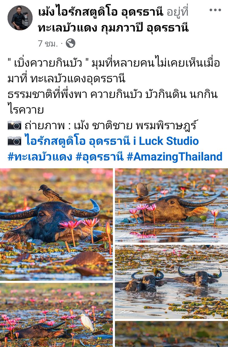 LaliliMarch's tweet photo. Photos : https://t.co/H6W7MjHViv https://t.co/i5HCh9LQNm