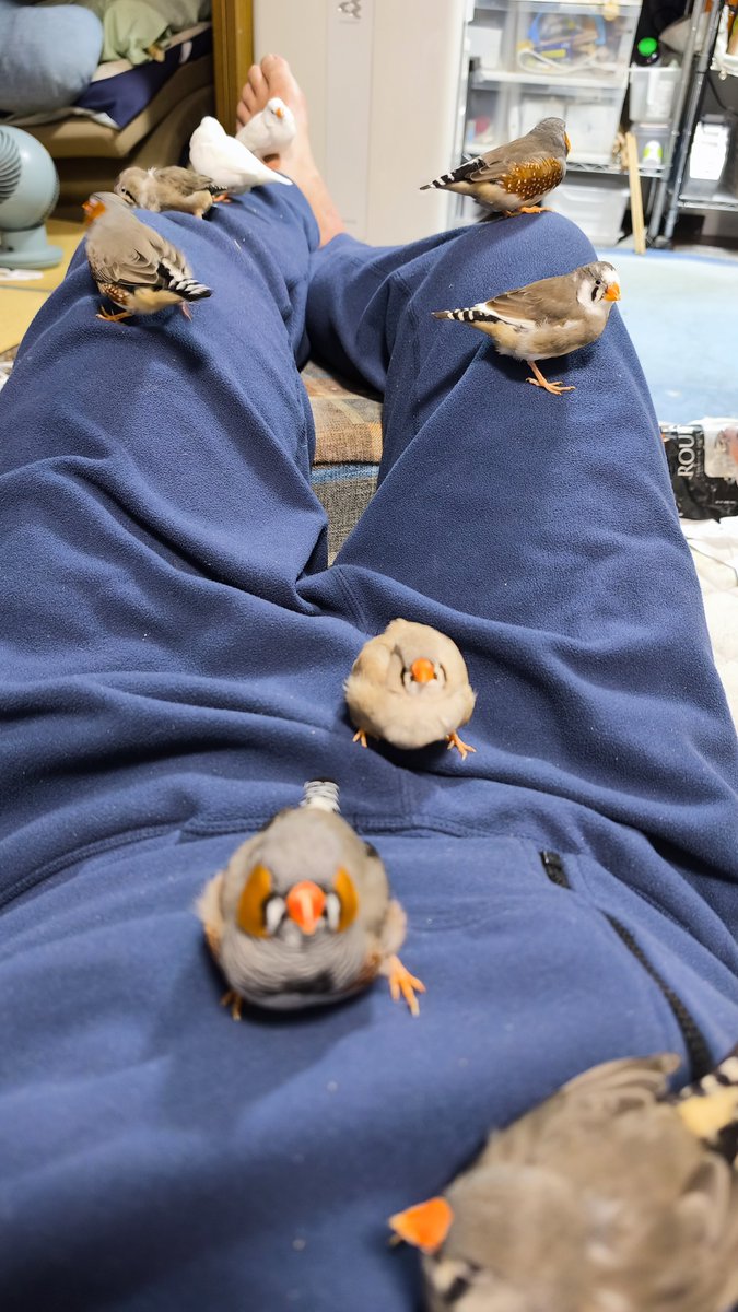 横になったら秒でこれ