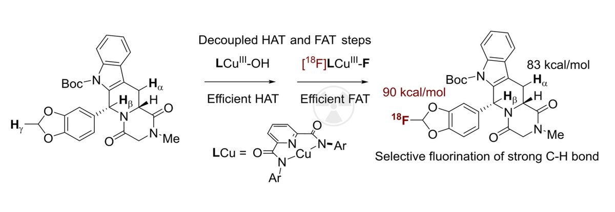 ZhangLabOSU tweet media