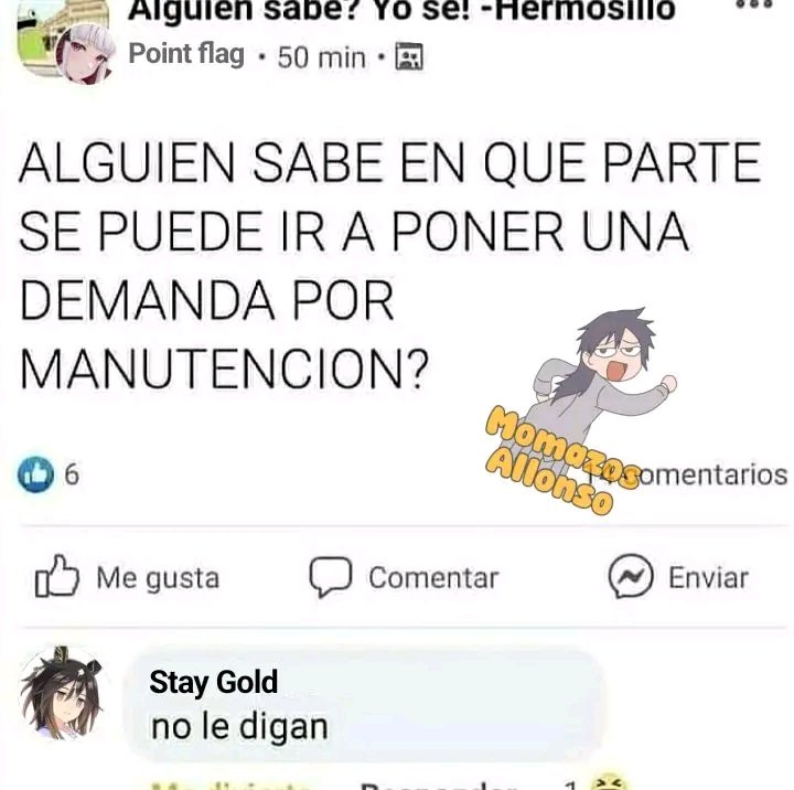 napstap (@napstap2) on Twitter photo 