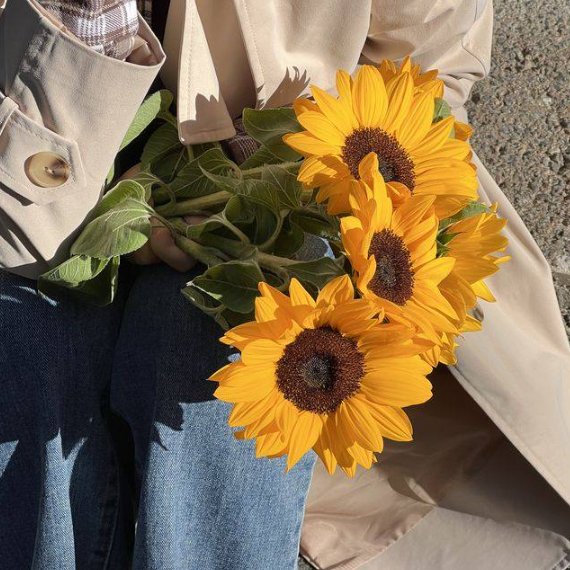 sunflowerchives's tweet photo. I'm obsessed📷📷 https://t.co/qsSCyyL5nS
