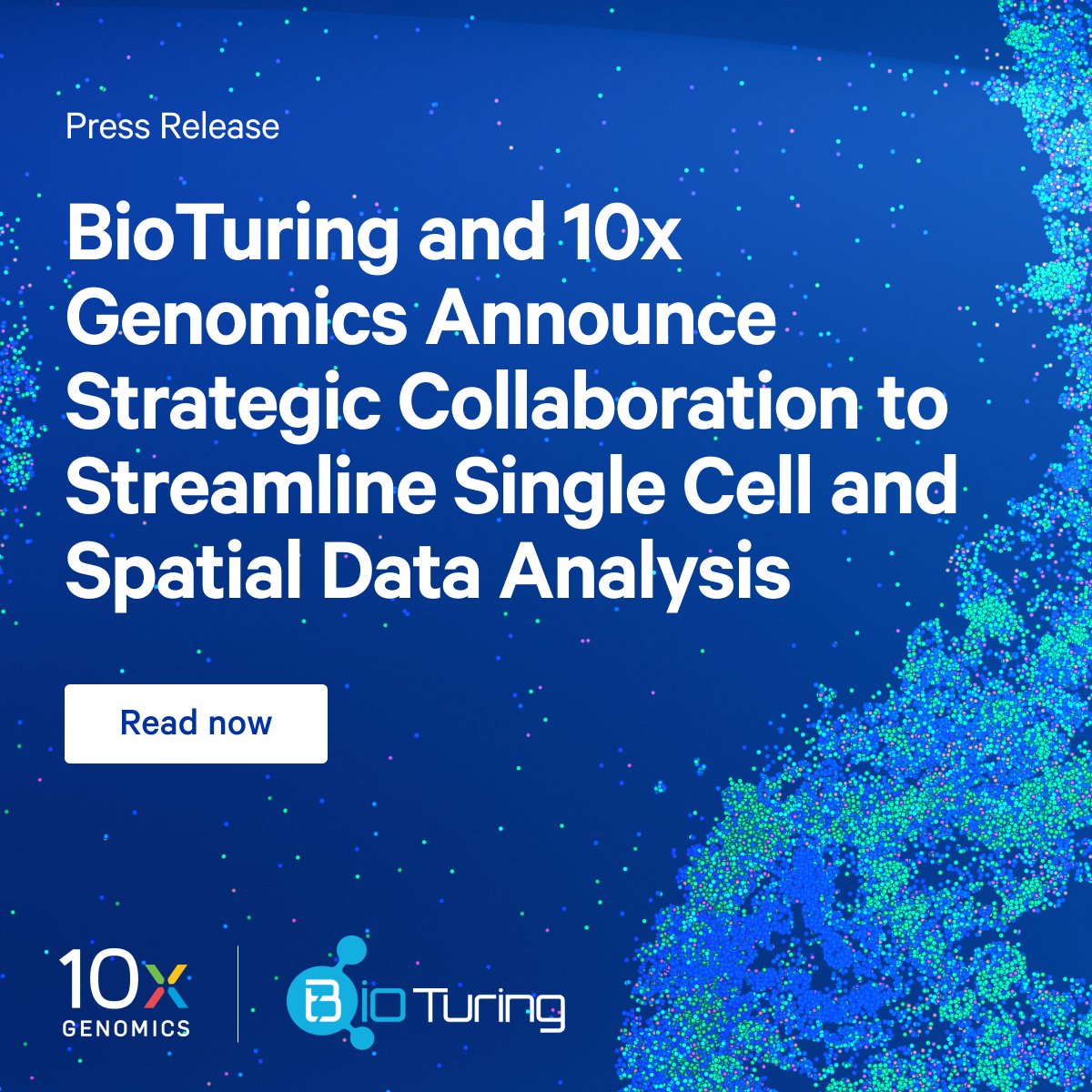 10xGenomics's tweet photo. We are excited to announce a collaboration with @bioturing to support more seamless single cell and spatial data analysis. Read the full announcement: https://t.co/mlMjpfQt8s https://t.co/vztagkEUw9