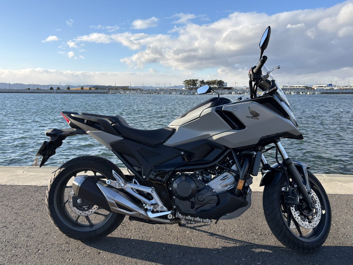 ツチノコ tweet media